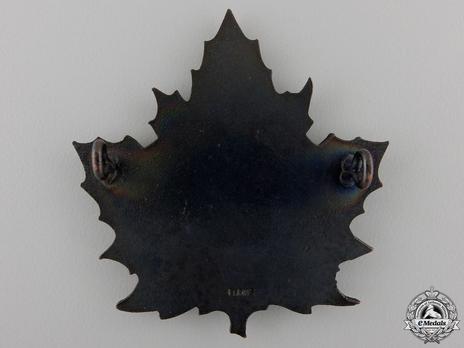 Red Cross Cap Badge Reverse