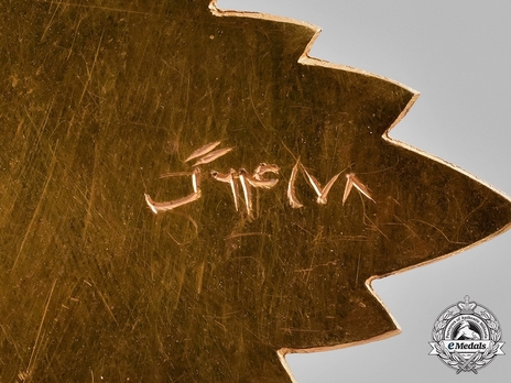  Order of the Star (Nishan-i-Astour), Type II, I Class Reverse Detail