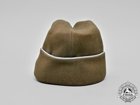 RAD Officer's Cloth Cap Back