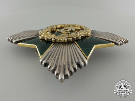 Order of Agricultural Merit, Type I, Grand Officer's Breast Star Obverse