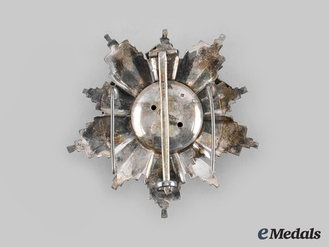 Order of the Republic, Type I, Grand Officer Breast Star Reverse