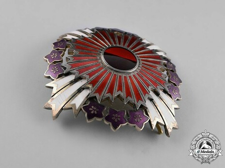Order of the Paulownia Flowers, Star Obverse