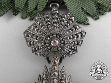 Order of the Lion and Sun, Type IV, I Class Grand Cordon (with couchant lion) Obverse Detail