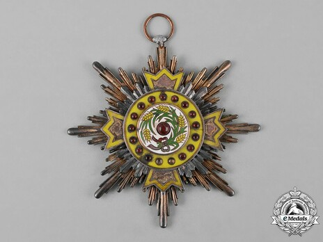 Order of Illustrious Brilliant Golden Grain, I Class Star Obverse