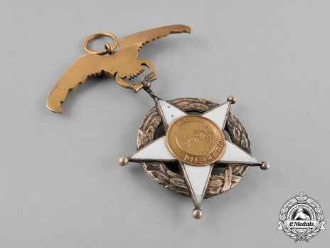 I Class Medal Reverse