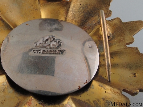 Grand Cordon Breast Star (with Eagle suspension, 1972-) Reverse Detail