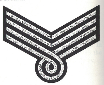 DAF 4th Pattern Work Troop Betriebszellenobmann, Walter & Warte Sleeve Rank Insignia Obverse