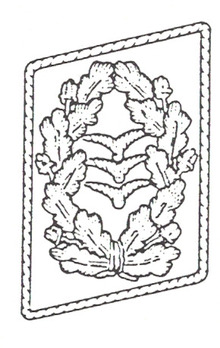 DLV Fliegerkommodore Collar Tabs Obverse