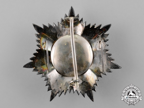I Class Grand Cordon Breast Star Reverse