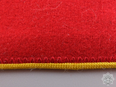 NSDAP Sonderbeauftragter Type II Reich Level Armband Detail