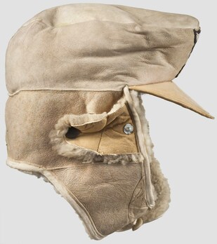 Luftwaffe NCO/EM Ranks Winter Visored Field Cap (light leather version) Right