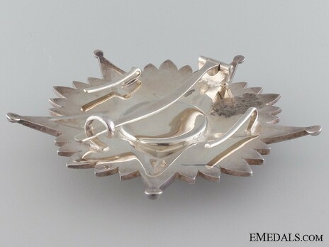 Grand Officer Breast Star Reverse