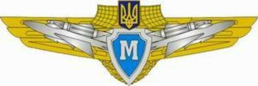 Compulsory Military Service Airforce Master Badge Obverse