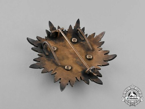 Order of the Golden Kite, I Class Breast Star Reverse