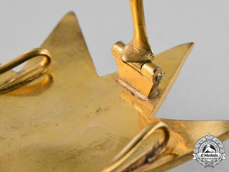 Order of the Star of Ethiopia, Grand Officer Breast Star (in Bronze gilt) Reverse Detail