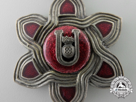I Class Grand Officer Obverse
