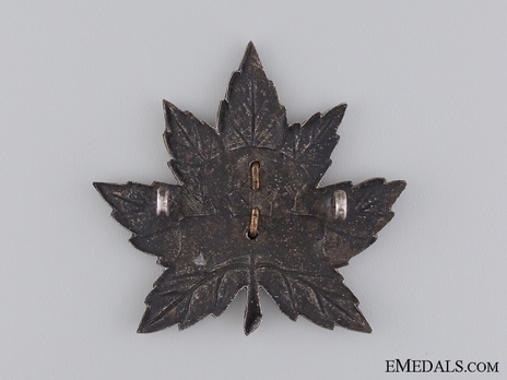 8th Reconnaissance Regiment Officers Cap Badge Reverse