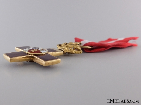 1st Class Cross (red distinction) (gold) Obverse
