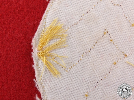 NSDAP Mitarbeiter Type II Gau Level Armband Detail