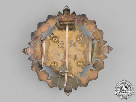 Order of the Plum Blossoms, I Class Grand Cordon Breast Star Reverse