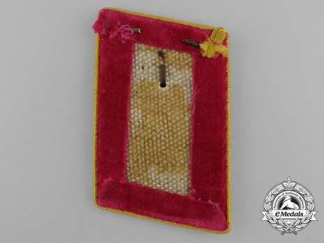NSDAP Politischer Leiter-Anwärter (Parteimitglied) Type IV Reich Level Collar Tabs Reverse