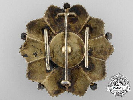 Order of Merit, Type V, Grand Officer Breast Star Reverse
