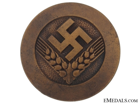 RADwJ 1939 Jungführerin Rank Brooch Obverse