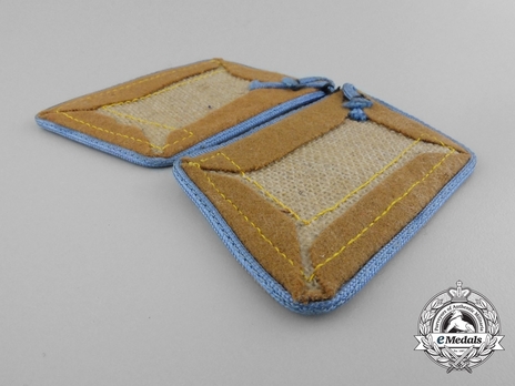 NSDAP Blockleiter Type III Ort Level Collar Tabs Reverse
