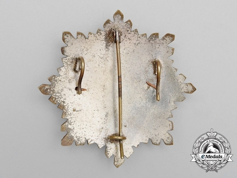 Breast Star (for Senior Officers) (silver,bronze silvered, bronze gilt, bronze) Reverse