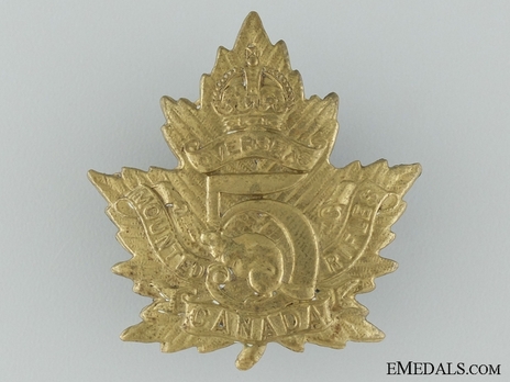 MedalBook - 5th Mounted Rifle Battalion Other Ranks Cap Badge