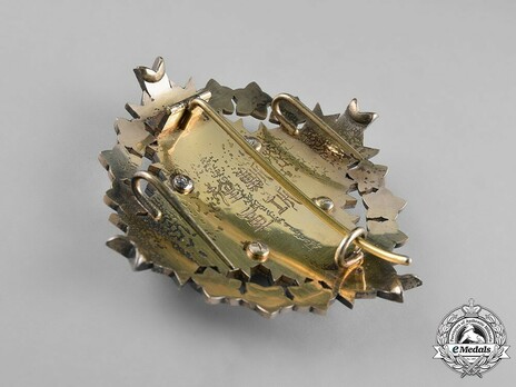 Order of the Paulownia Flowers, Star Reverse