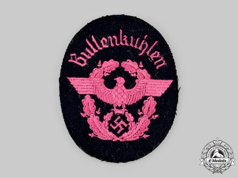 Firefighters Enlisted Ranks Blue Uniform Professionals Sleeve Eagle Obverse
