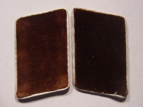 NSDAP Politischer Leiter-Anwärter (Nicht-Parteimitglied) Type IV Kreis Level Collar Tabs Obverse