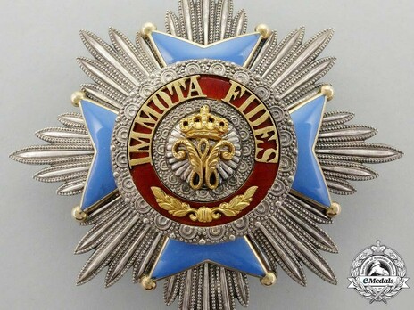 Dukely Order of Henry the Lion, Grand Cross Breast Star (in silver gilt) Obverse