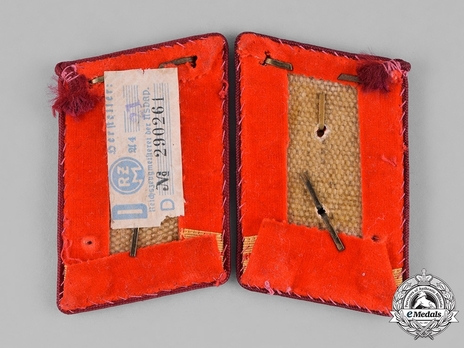 NSDAP Haupt-Arbeitsleiter Type IV Gau Level Collar Tabs Reverse
