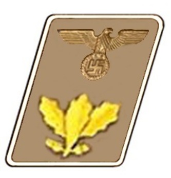 NSDAP Dienstleiter Type IV Kreis Level Collar Tabs Obverse