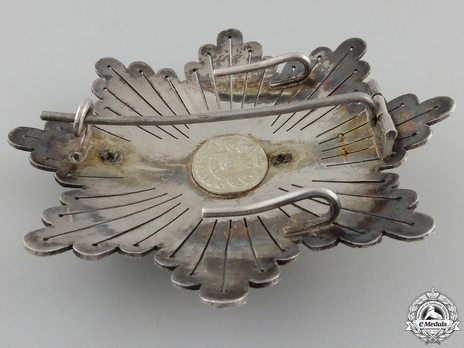 2nd Class Breast Star (red distinction) (1889-1931) Reverse