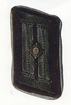 NSDAP Hauptamtsleiter Type III Kreis Level Collar Tabs Obverse