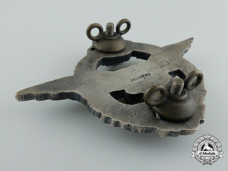 WWII Army Air Service Pilot's Badge Reverse