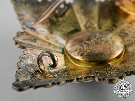 Order of the Yugoslav Crown, Grand Cross Breast Star Reverse Detail