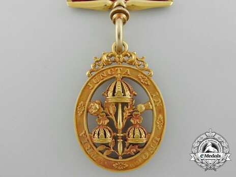 Companion (with gold) Reverse