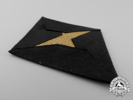 NSDAP Political Leader 2nd pattern Sleeve Insignia Reverse