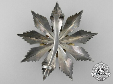 Order of Gediminas, Type I, II Class Breast Star Reverse