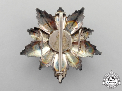 Grand Officer Breast Star Reverse