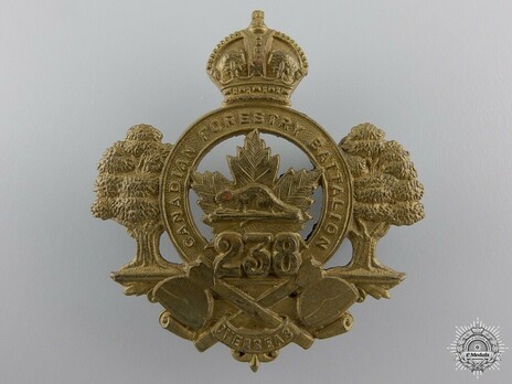 238th Infantry Battalion Other Ranks Cap Badge Obverse