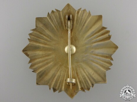 Grand Cross Breast Star Reverse