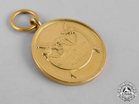Campaign Medal, 1866 (for one campaign) Reverse