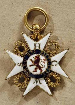 Order of the Lion of Limburg, Grand Cross Obverse