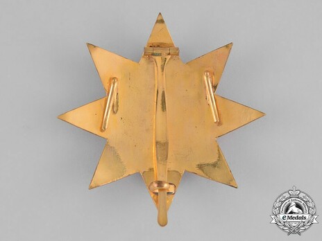 Order of the Star of Ethiopia, Grand Officer Breast Star (in Bronze gilt) Reverse