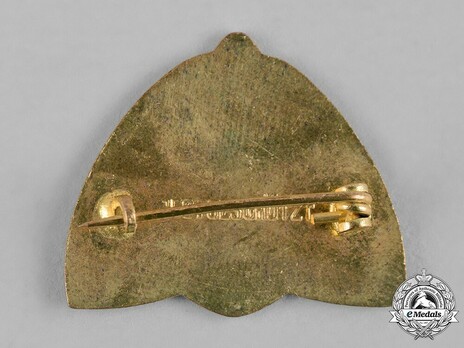 First War Austro-Hungarian Central Powers Badge Reverse